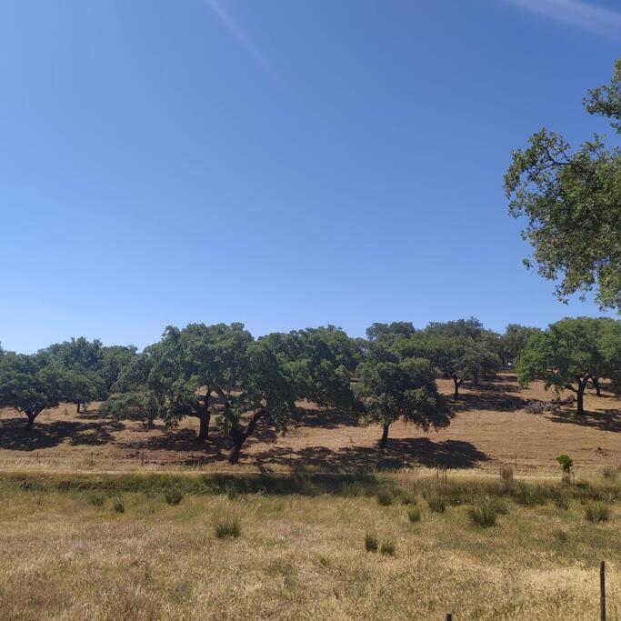 Willa Casa Do Forno Evora Retreat Redondo Zewnętrze zdjęcie