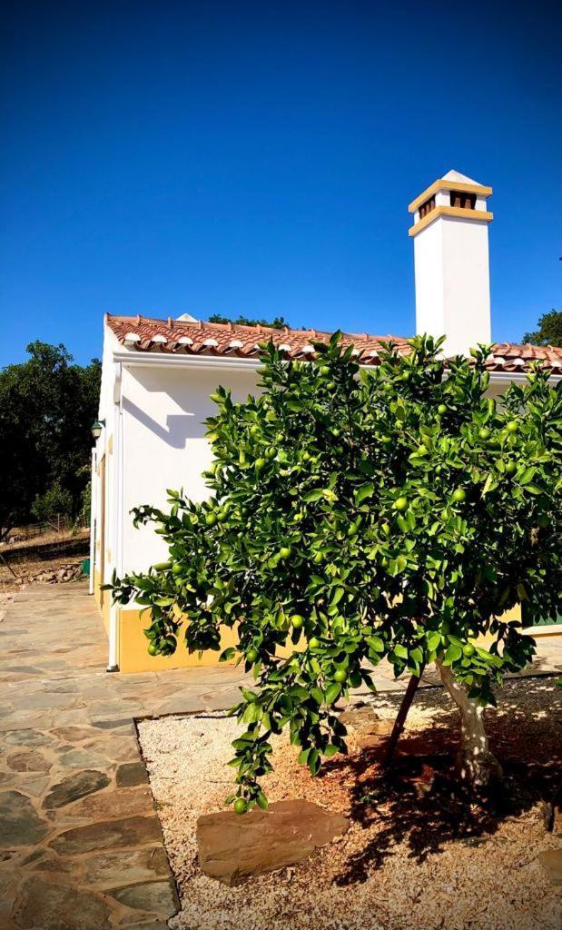 Willa Casa Do Forno Evora Retreat Redondo Zewnętrze zdjęcie
